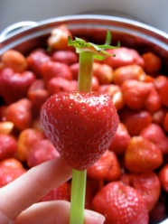 1 of 20 Kitchen Hacks; How to pit a strawberry with a straw